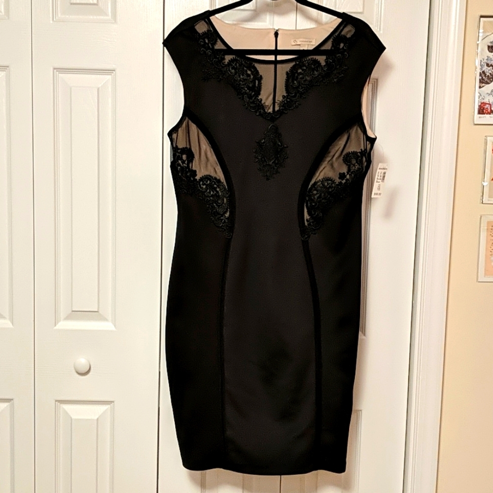 Bodycon dress with nude insets and lace detail